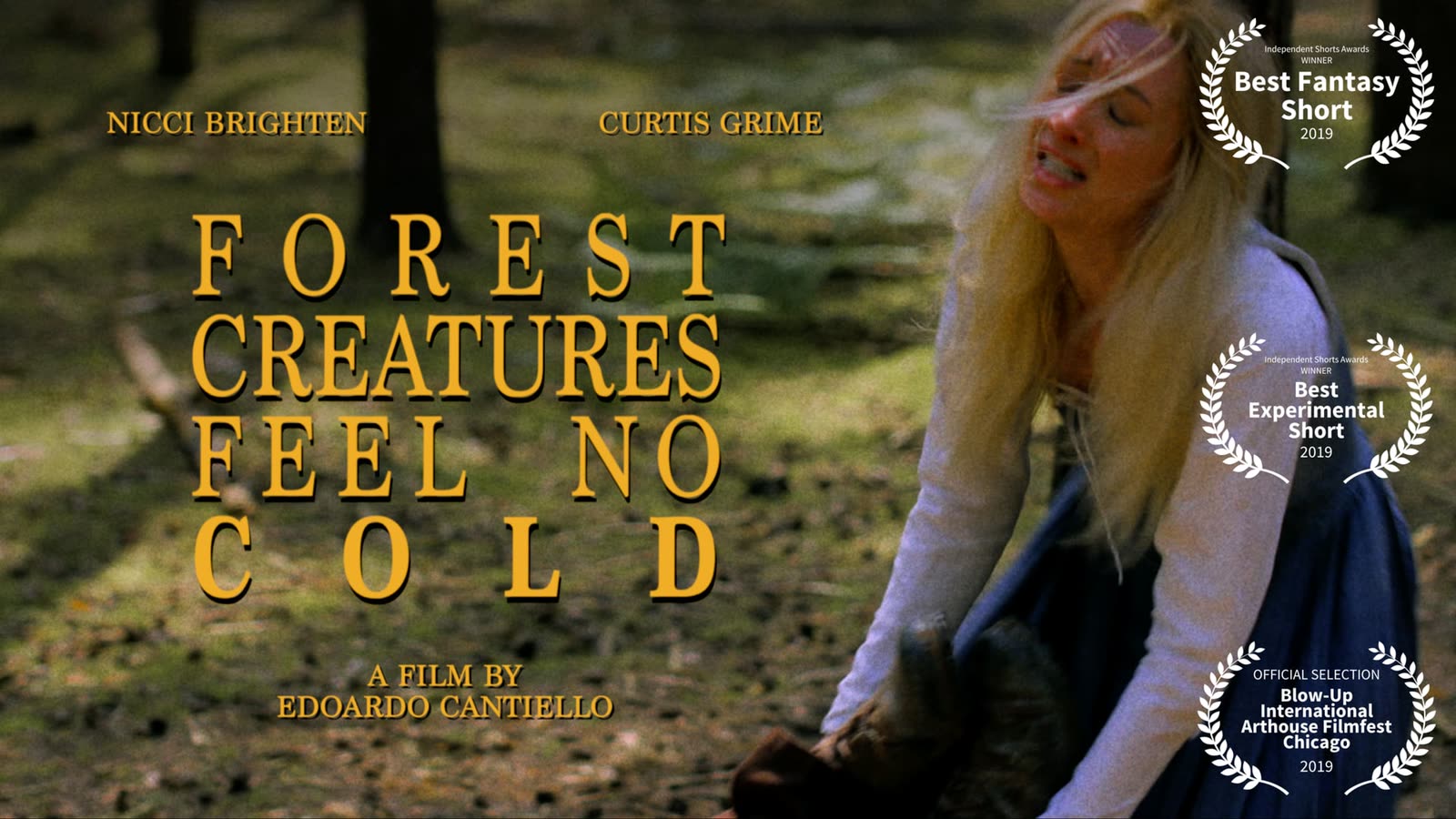 A blonde woman in a blue medieval dress kneeling in a sunlit forest, with the film's title and festival laurels
